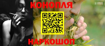 mdpv Краснознаменск