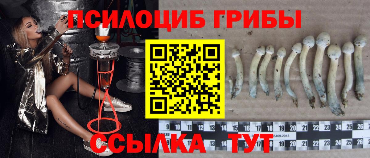 Томск  Псилоцибиновые грибы Magic Shrooms  Вход с VPN 